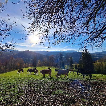 Erlebnisbauernhof Gutschi Ranch Kamp Esterno foto