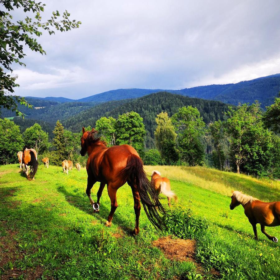 Appartamento Erlebnisbauernhof Gutschi Ranch Kamp Esterno foto