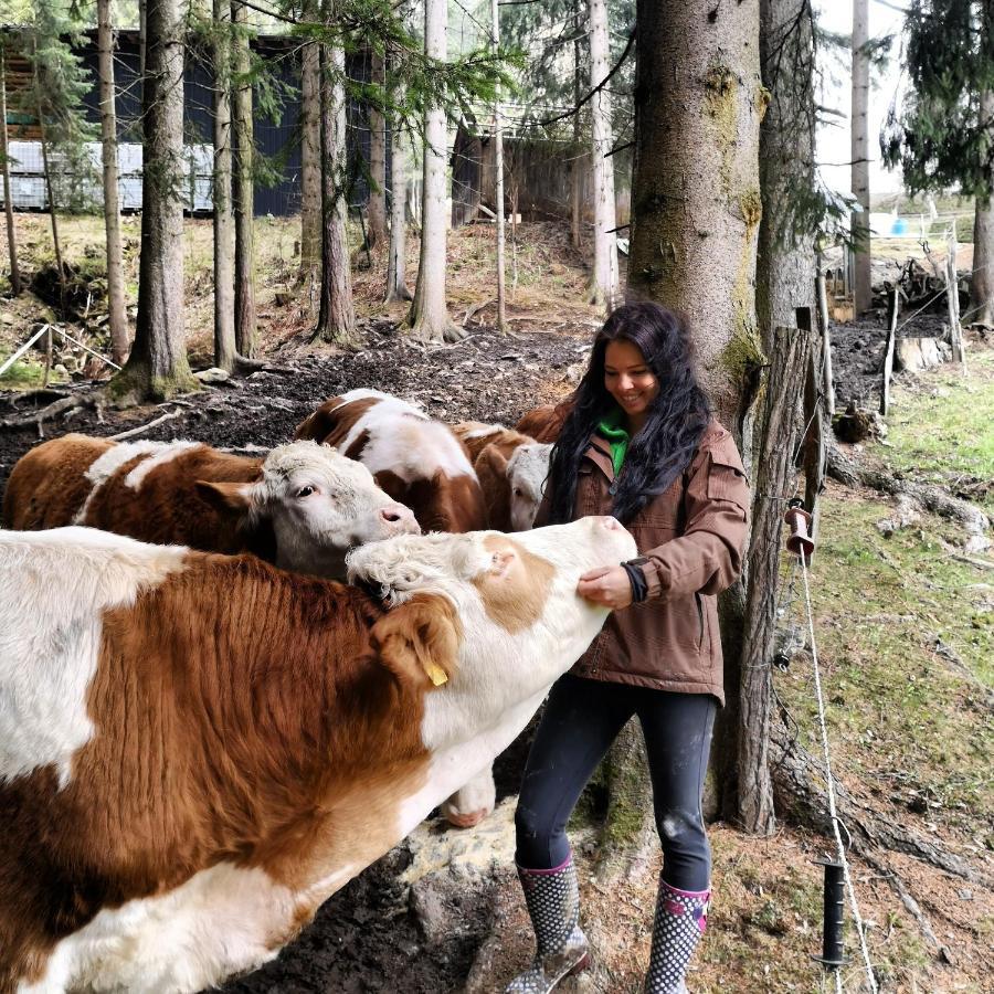 Erlebnisbauernhof Gutschi Ranch Kamp Esterno foto