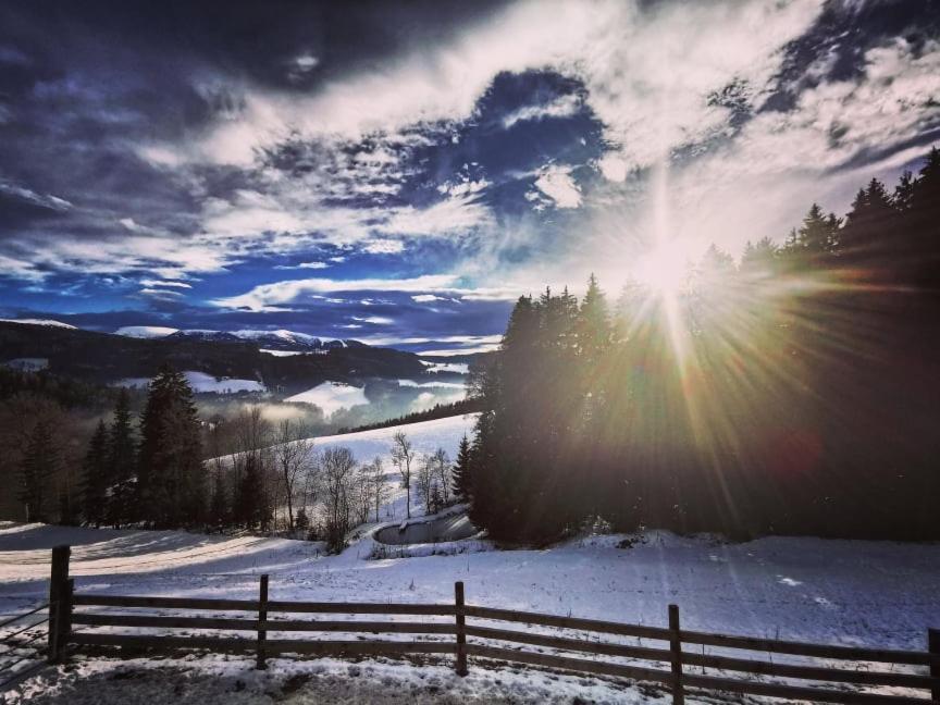 Appartamento Erlebnisbauernhof Gutschi Ranch Kamp Esterno foto