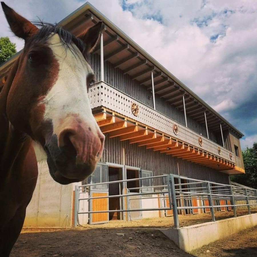 Appartamento Erlebnisbauernhof Gutschi Ranch Kamp Esterno foto