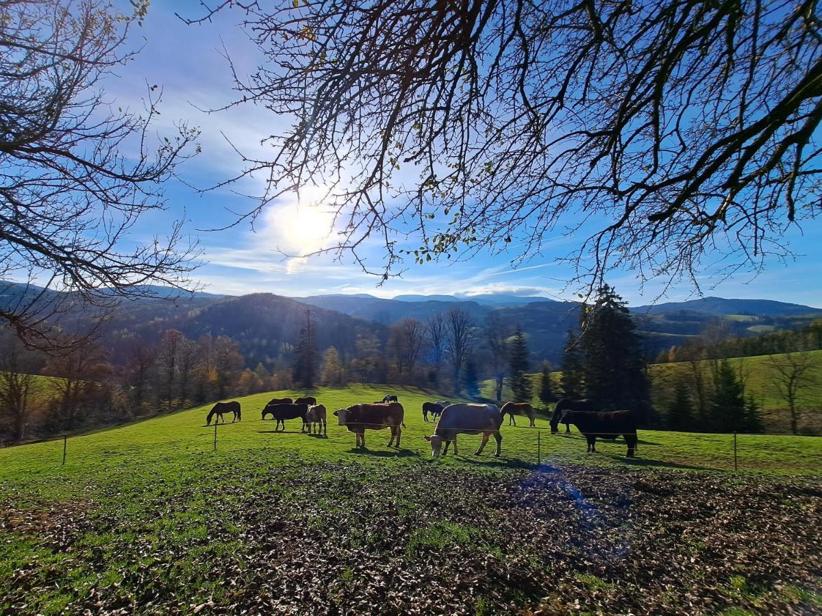 Appartamento Erlebnisbauernhof Gutschi Ranch Kamp Esterno foto