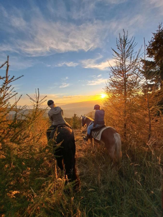 Appartamento Erlebnisbauernhof Gutschi Ranch Kamp Esterno foto