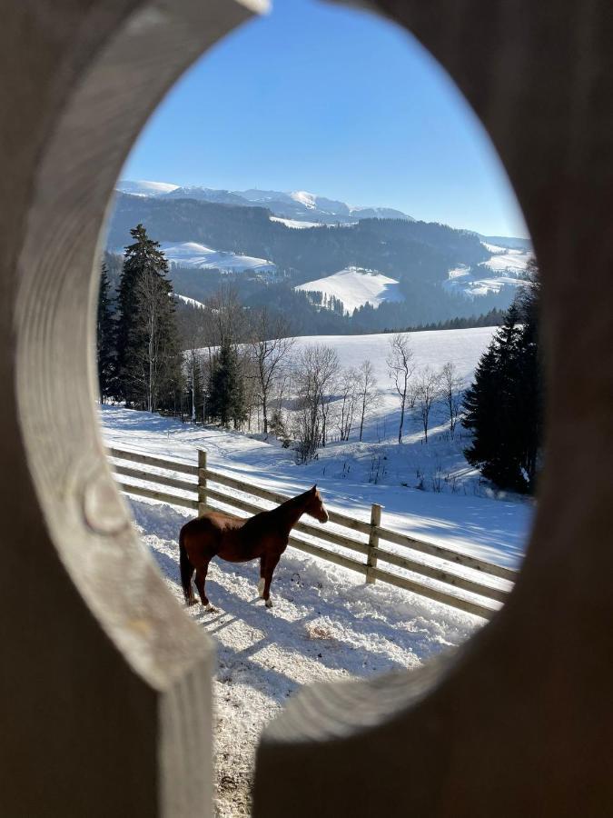 Appartamento Erlebnisbauernhof Gutschi Ranch Kamp Esterno foto