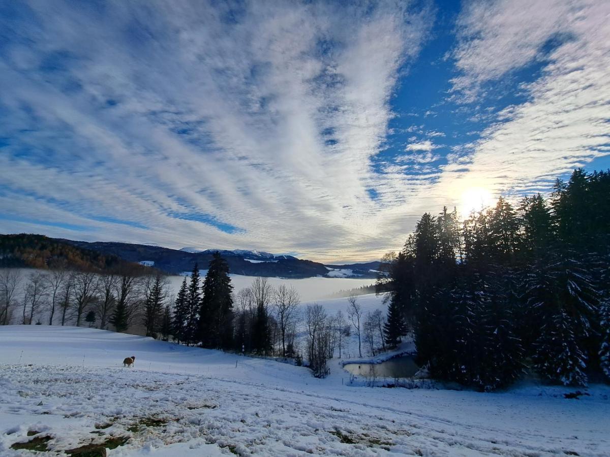 Appartamento Erlebnisbauernhof Gutschi Ranch Kamp Esterno foto