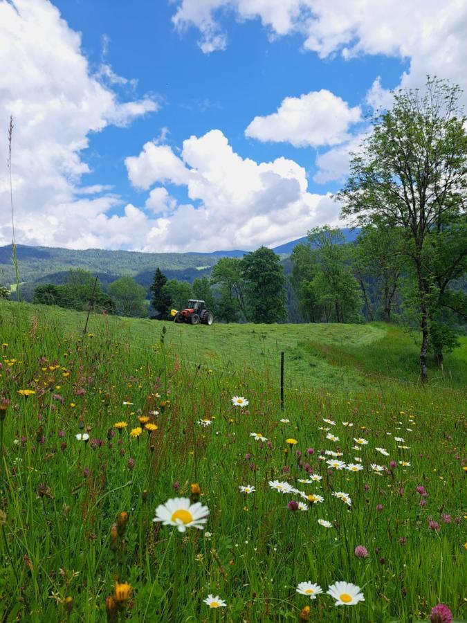 Appartamento Erlebnisbauernhof Gutschi Ranch Kamp Esterno foto