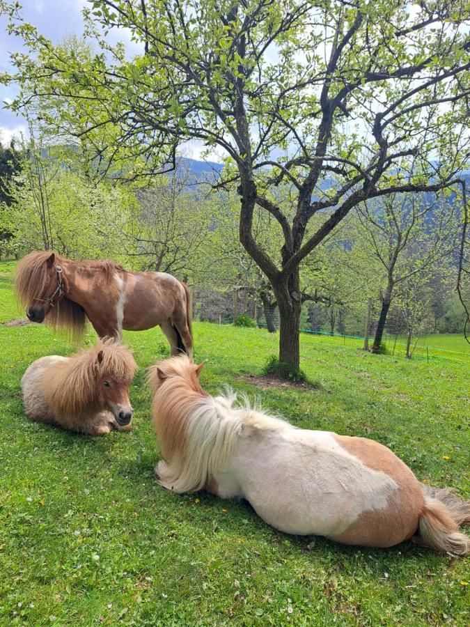 Appartamento Erlebnisbauernhof Gutschi Ranch Kamp Esterno foto