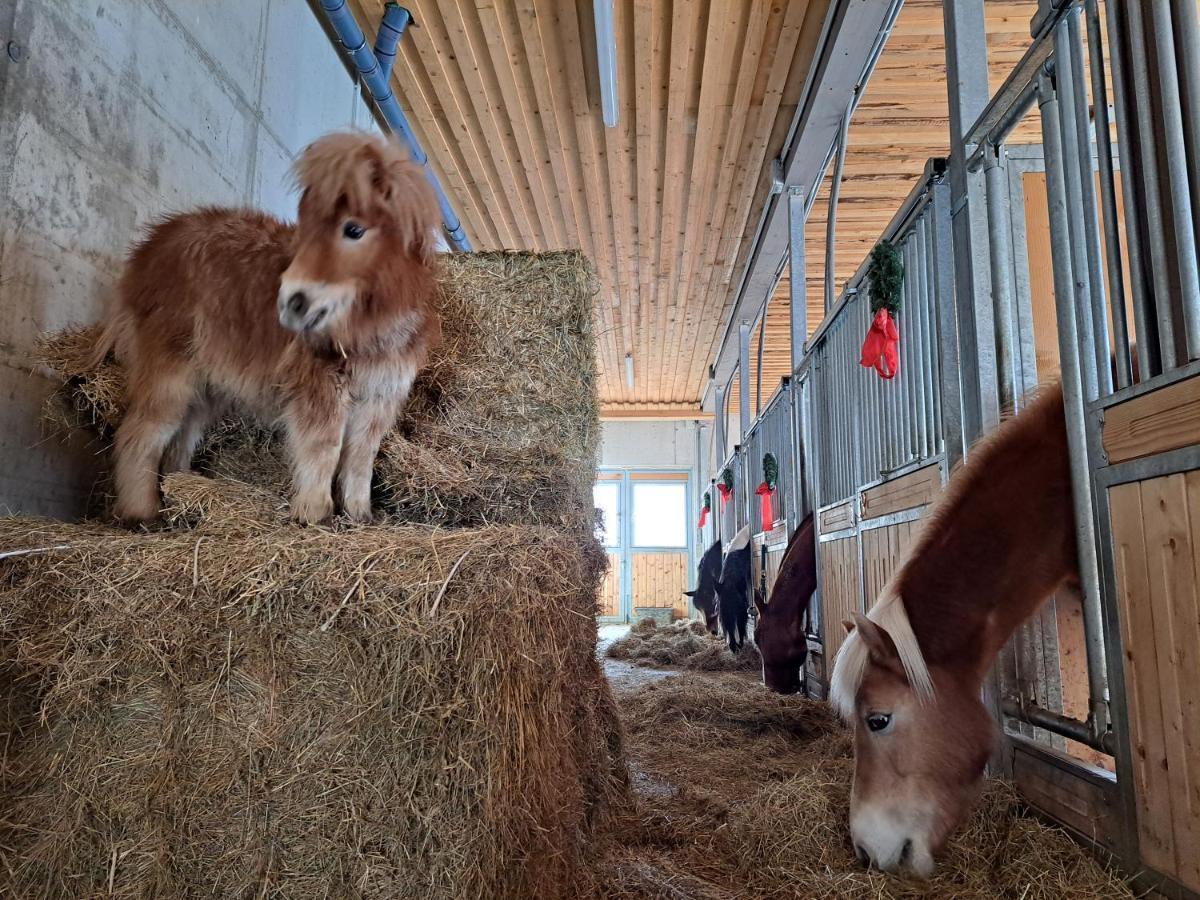 Appartamento Erlebnisbauernhof Gutschi Ranch Kamp Esterno foto