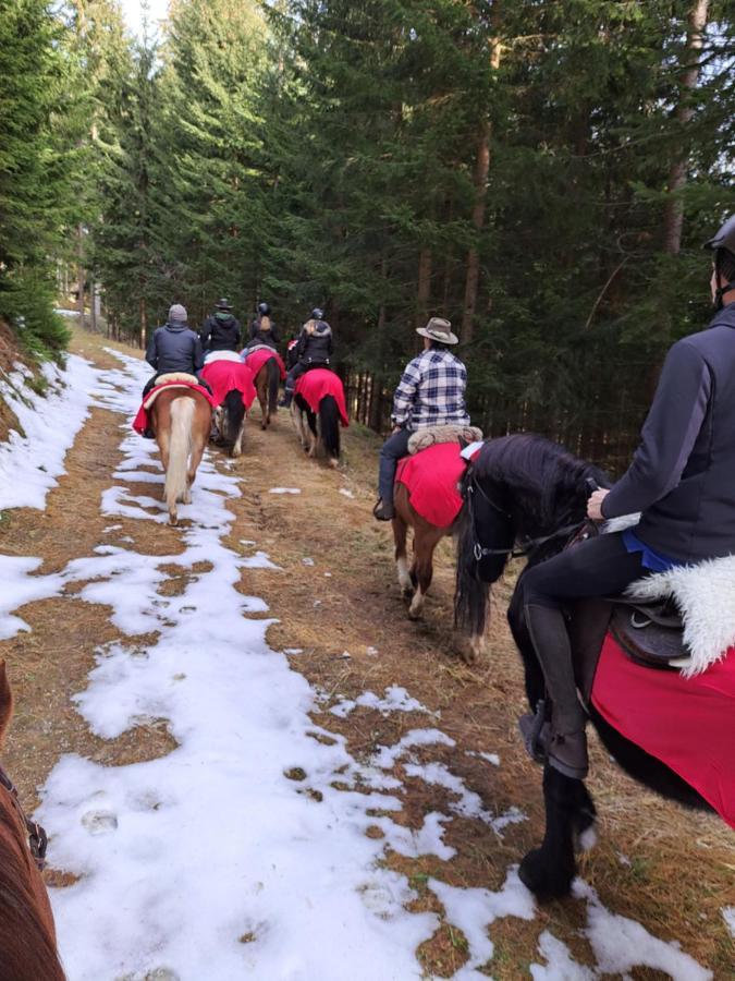 Appartamento Erlebnisbauernhof Gutschi Ranch Kamp Esterno foto