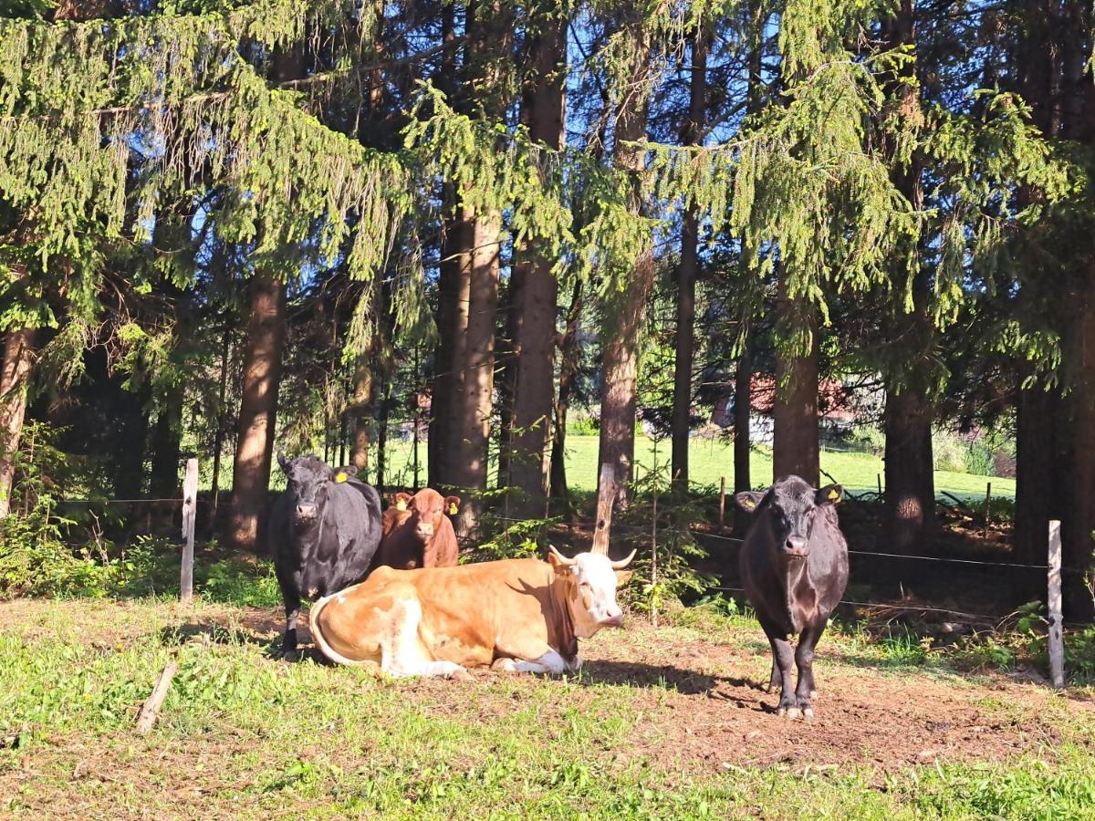 Appartamento Erlebnisbauernhof Gutschi Ranch Kamp Esterno foto