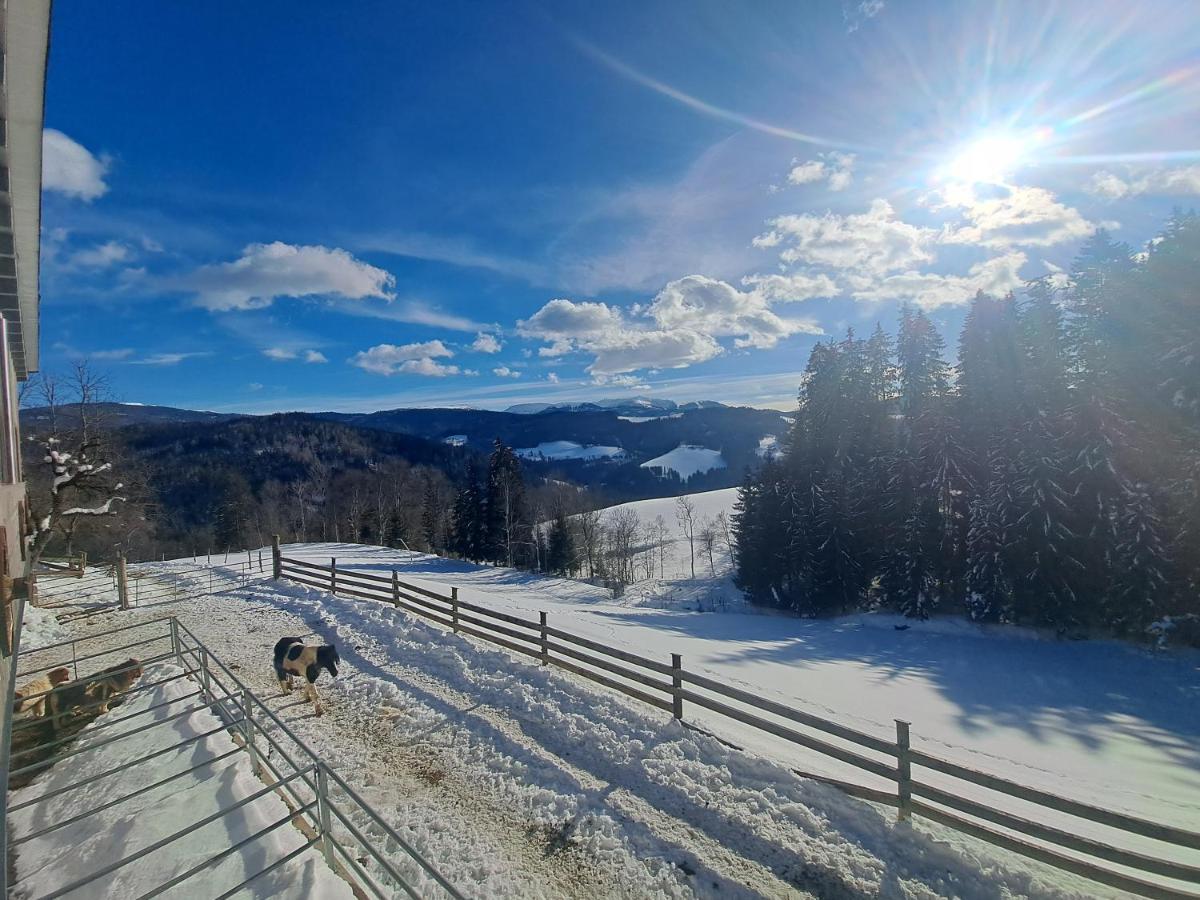 Appartamento Erlebnisbauernhof Gutschi Ranch Kamp Esterno foto