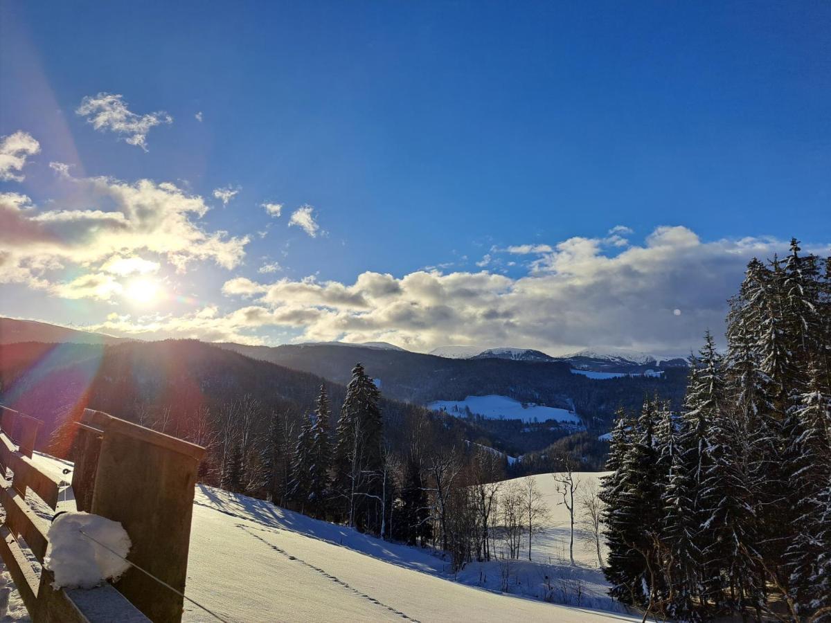 Appartamento Erlebnisbauernhof Gutschi Ranch Kamp Esterno foto