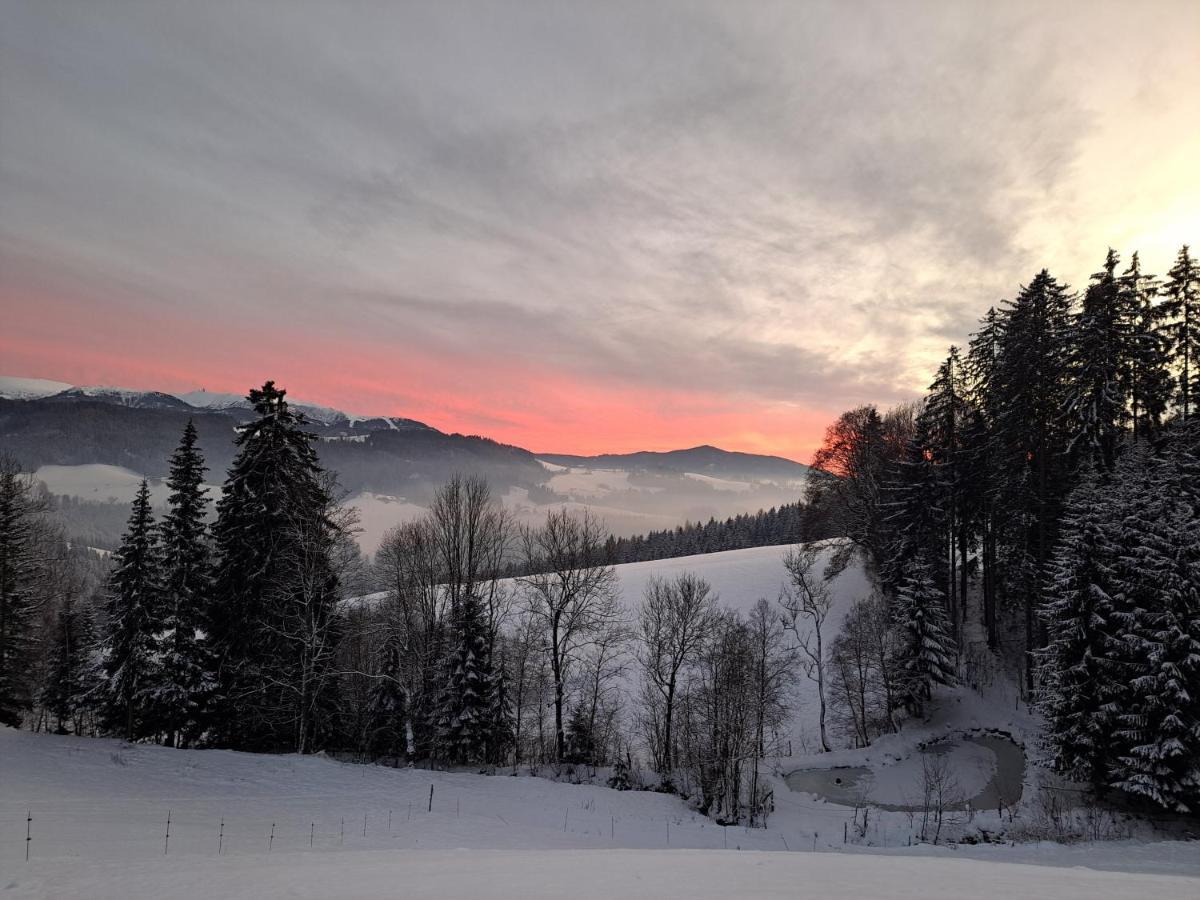 Appartamento Erlebnisbauernhof Gutschi Ranch Kamp Esterno foto