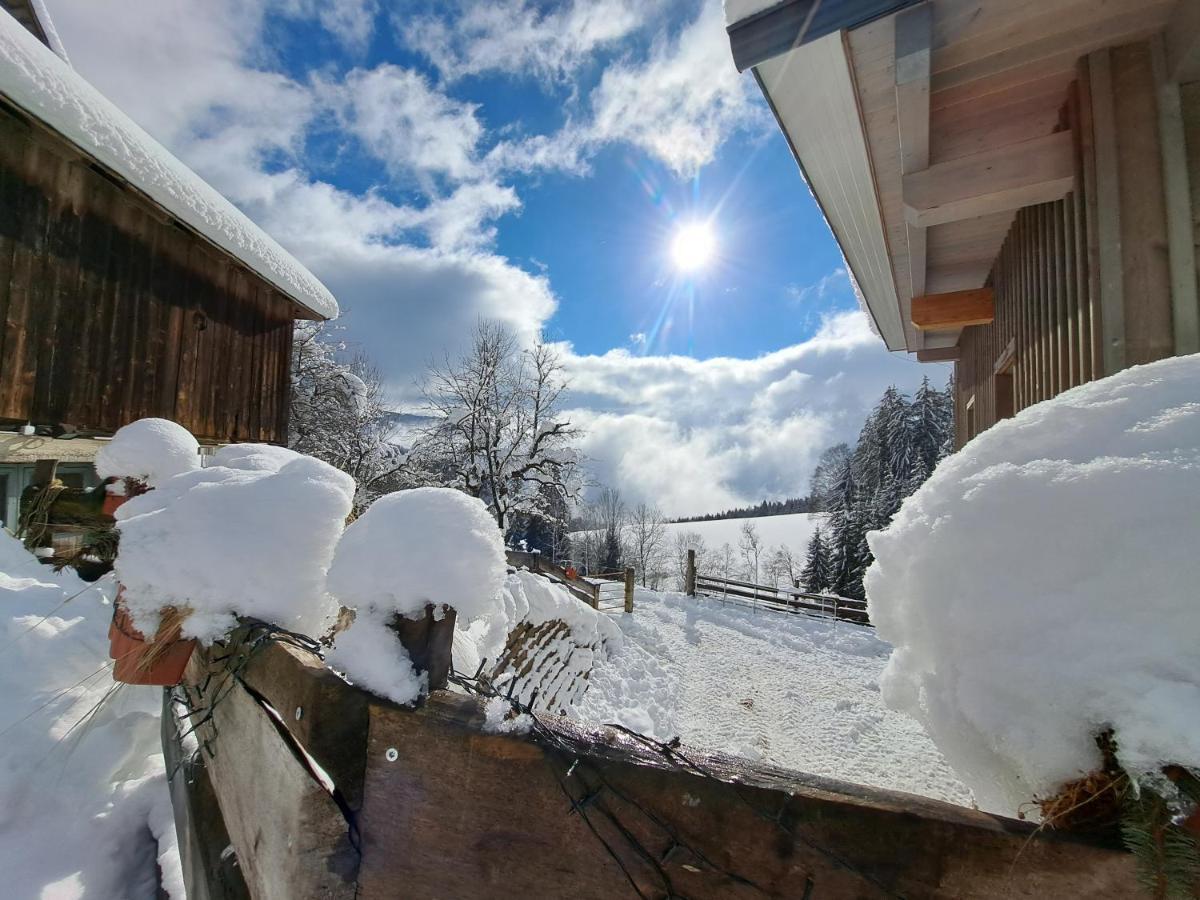 Appartamento Erlebnisbauernhof Gutschi Ranch Kamp Esterno foto